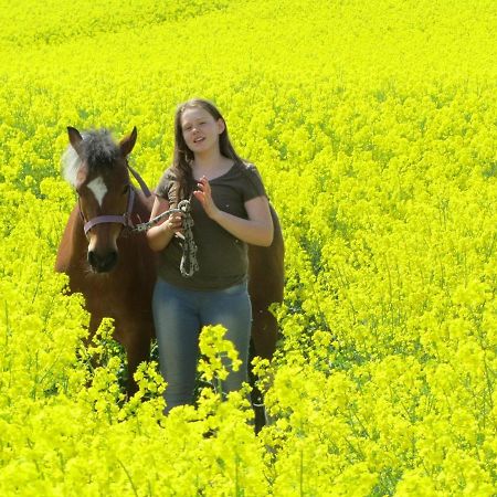 Ferienhof Martens Sörup Exteriör bild